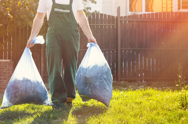 Best Furniture Removal  in Raymond, IL
